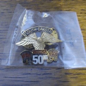 Sturgis Vgt pin